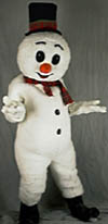 [Mr. Snowman Costume Picture]